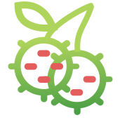 ICON RAMBUTAN (FILEminimizer)
